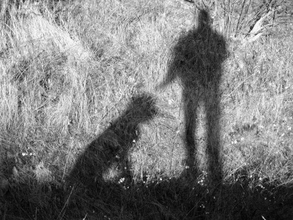 Me and my Portuguese Water Dog, Maio